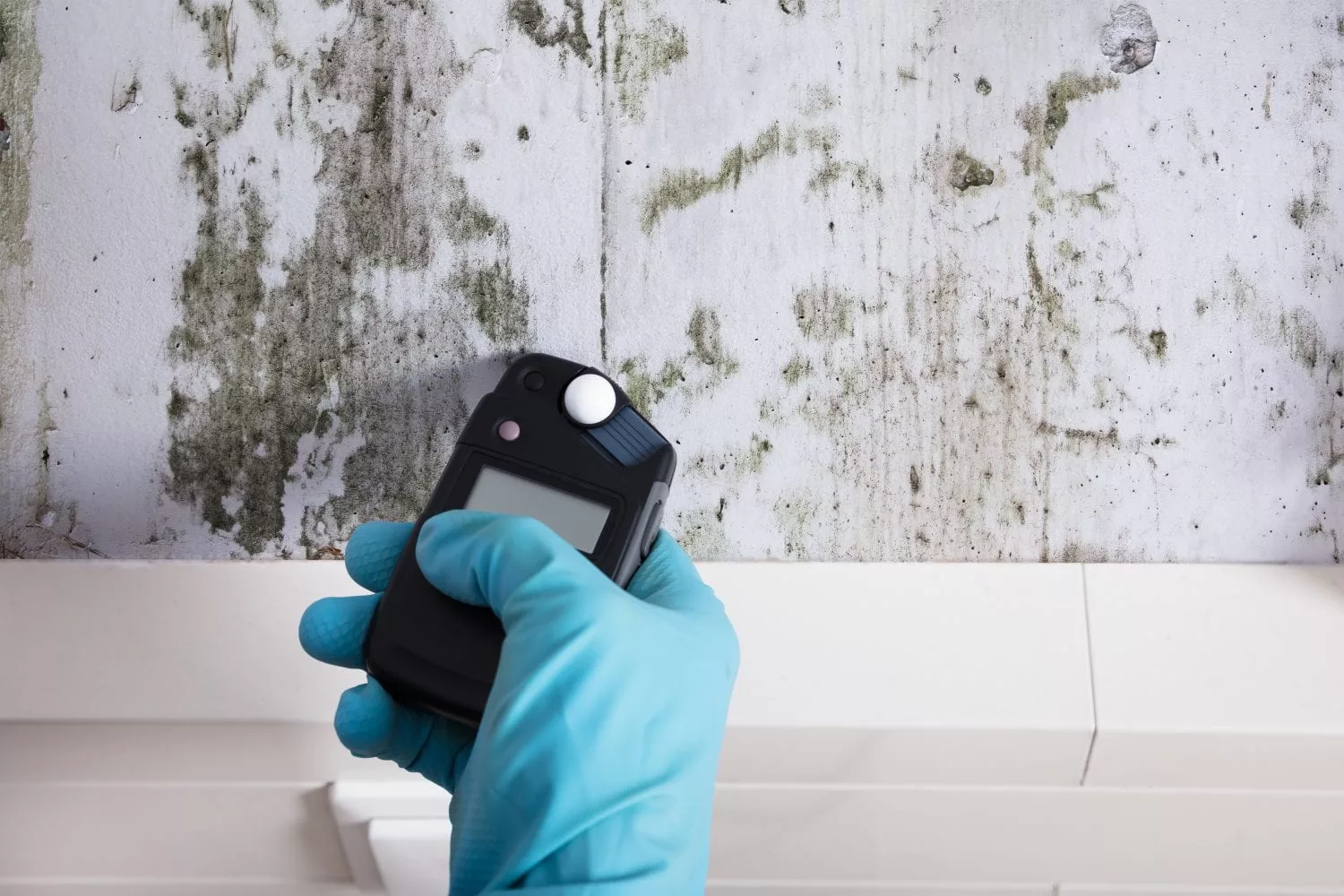 Residential Mold Testing Denver, CO Home Mold Inspection