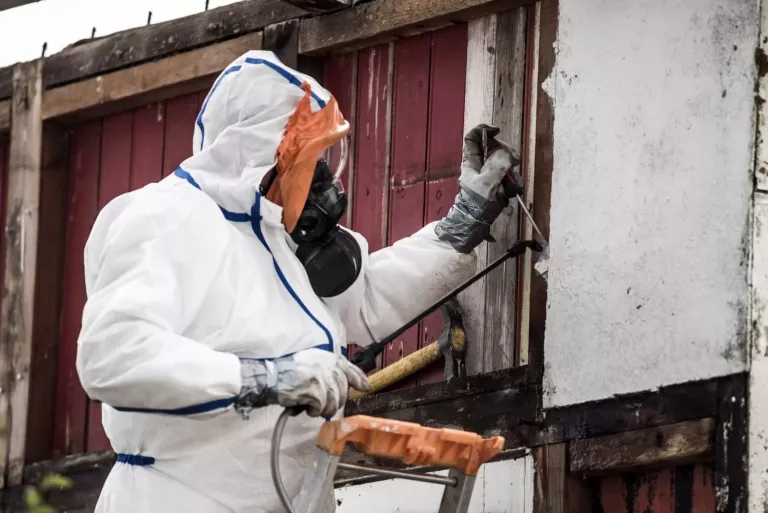 Mold, Asbestos & Lead Testing Denver, CO Home & Commercial Inspection