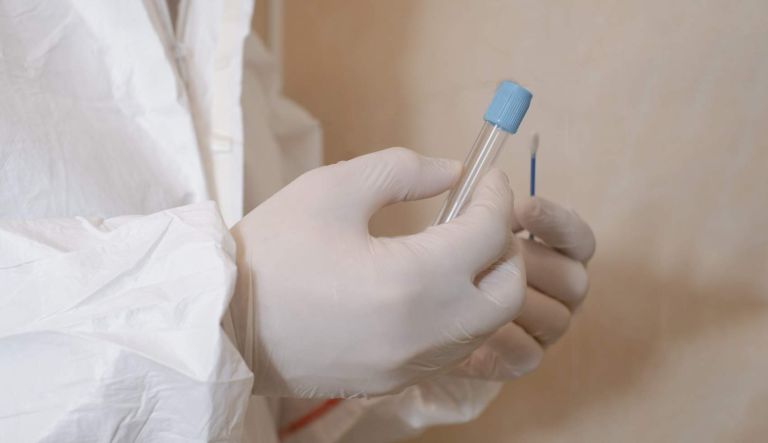 The hands of a scientist in medical white gloves put mold into a test tube. Observing and experimenting with mold in a science laboratory. Specialist of sanitary and epidemiological service.