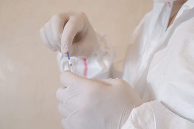 The hands of a scientist in medical white gloves put mold into a test tube. Observing and experimenting with mold in a science laboratory. Specialist of sanitary and epidemiological service.