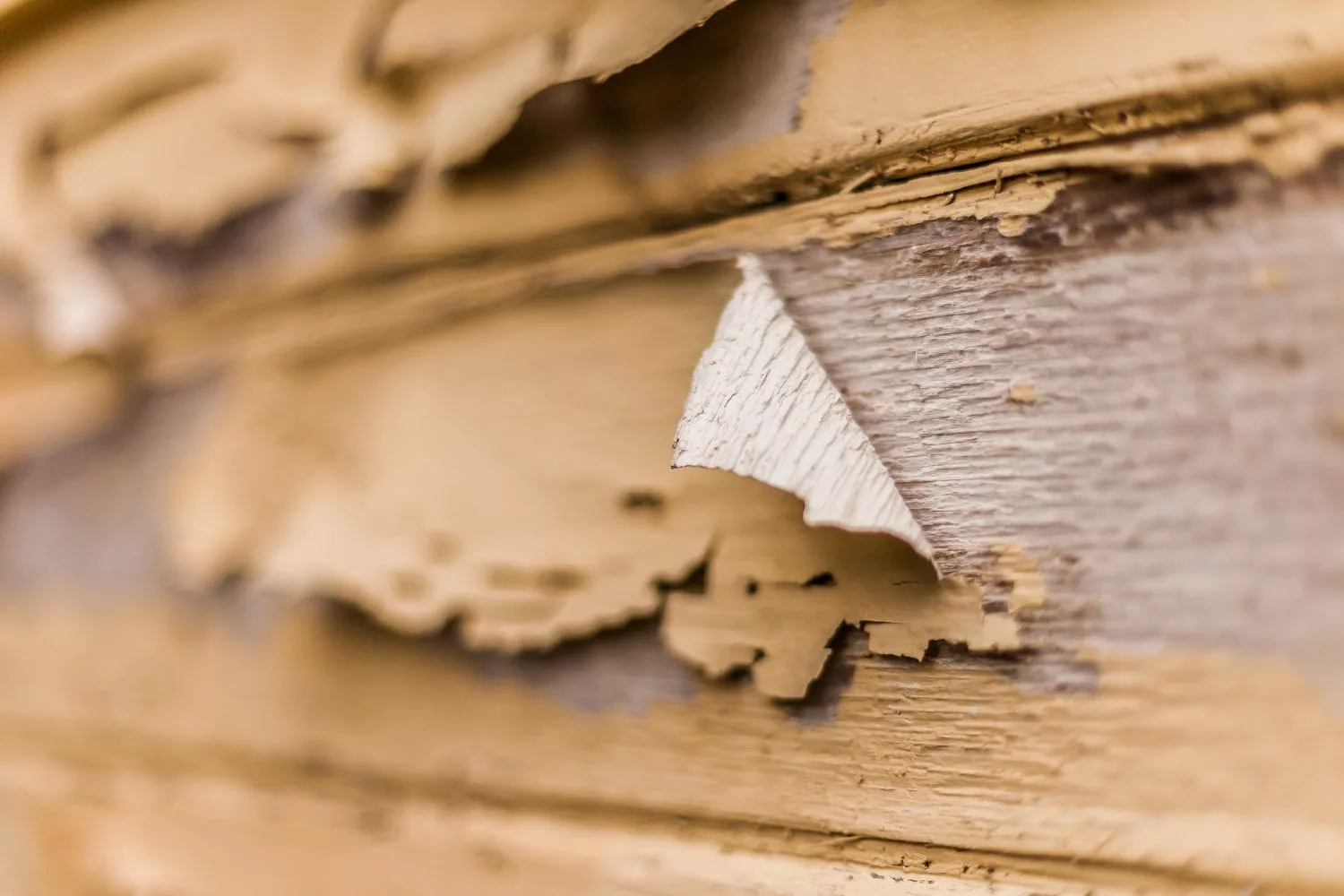 Residential Lead Testing Denver, CO Home Lead Inspection