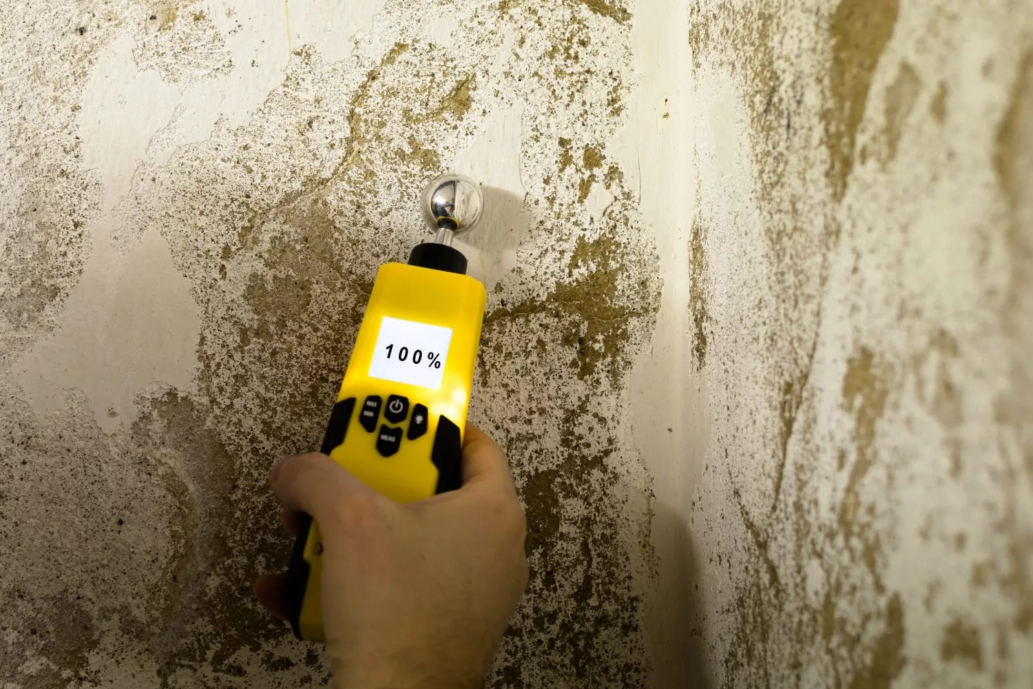 Water Damage Testing Denver, CO | Water Damage & Mold Testing - Water Damage And Mold Testing For Schools